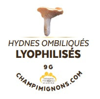 Hydnes ombiliqués lyophilisés
